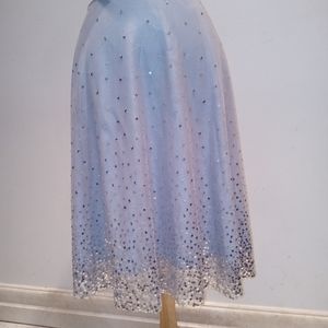Sequined Tulle Skirt, 10